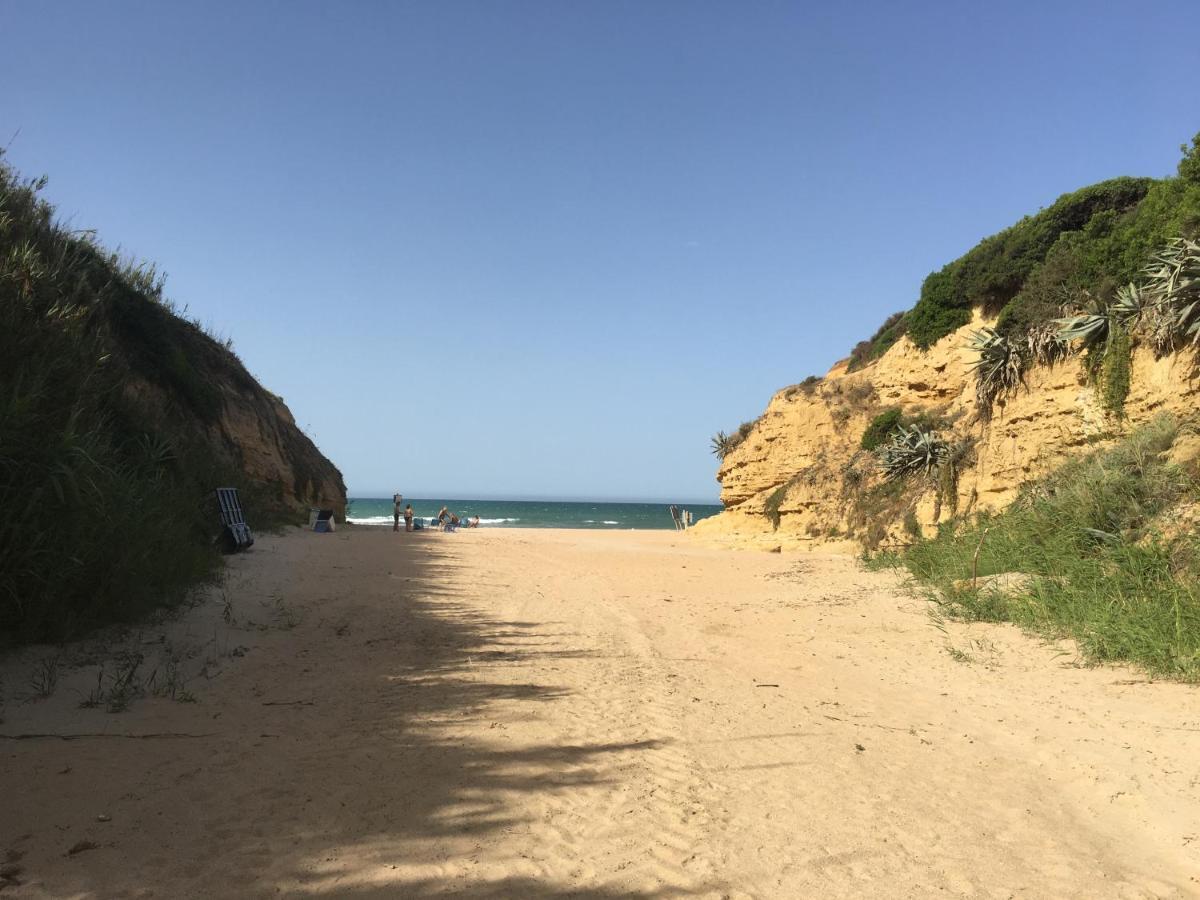 קוניל דה לה פרונטרה Villa Anyway Conil Un Lujo Frente Al Mar מראה חיצוני תמונה